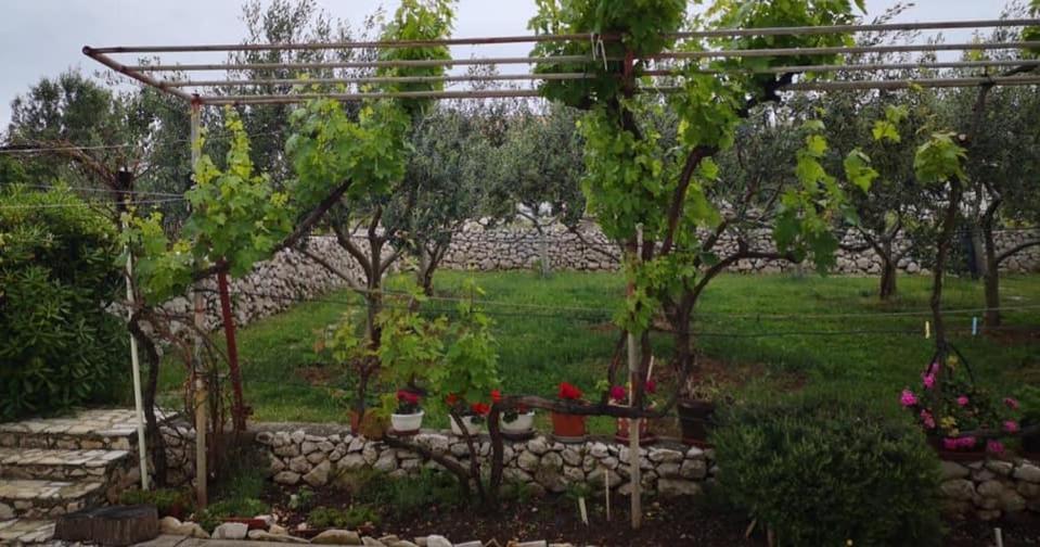 Apartments Tara Ražanac Εξωτερικό φωτογραφία